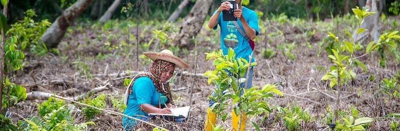 Nature-based Solutions: the good, the bad and the youth perspective ...